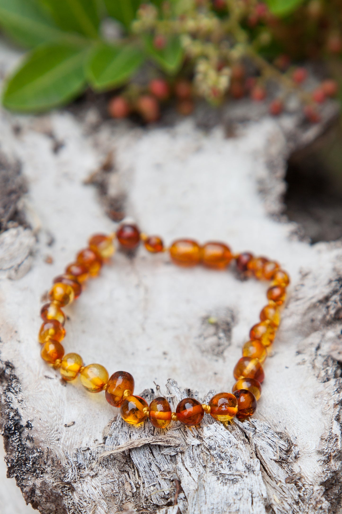 Adult Bracelet Cognac