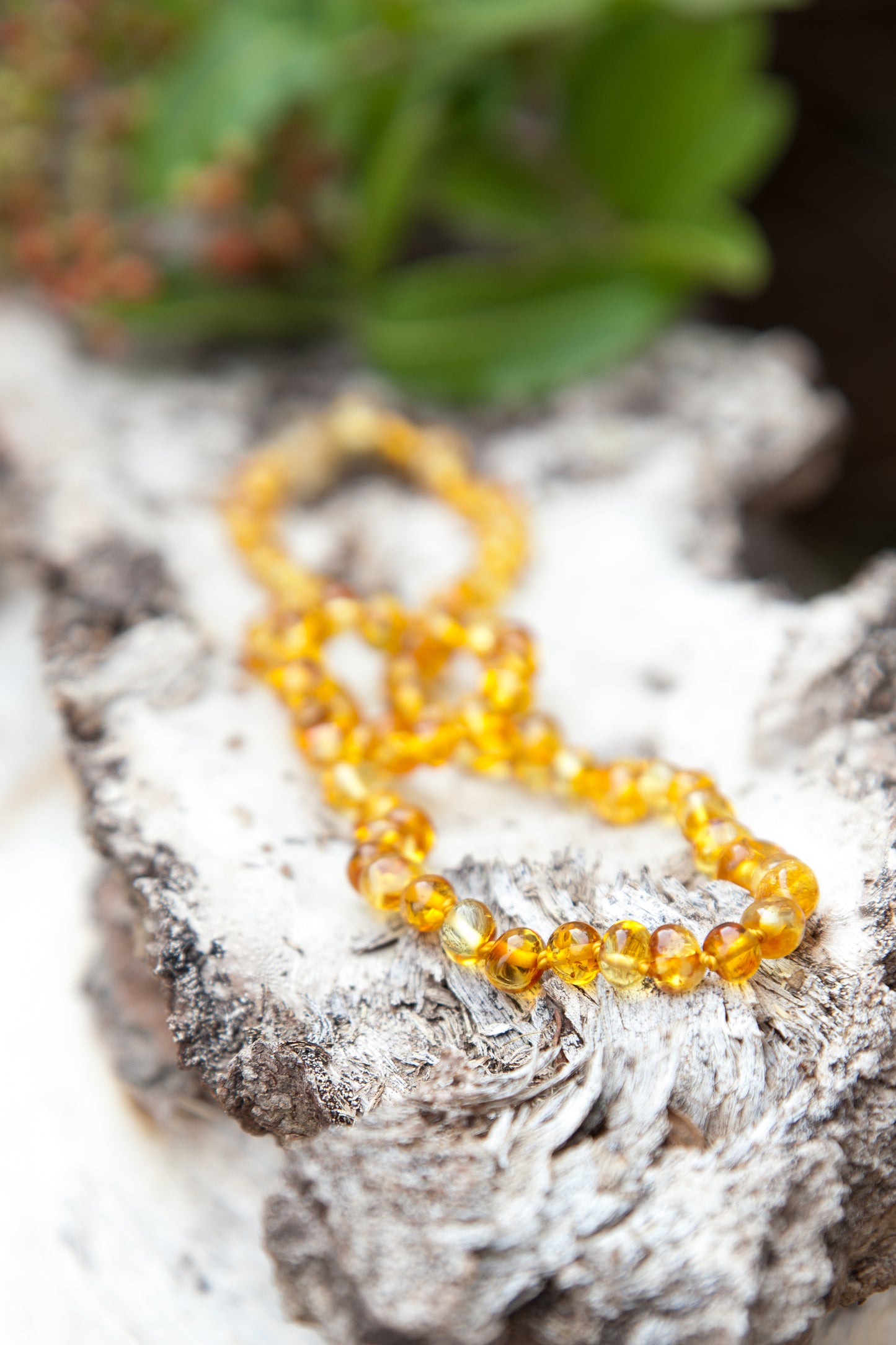 Adult Amber necklace Lemon