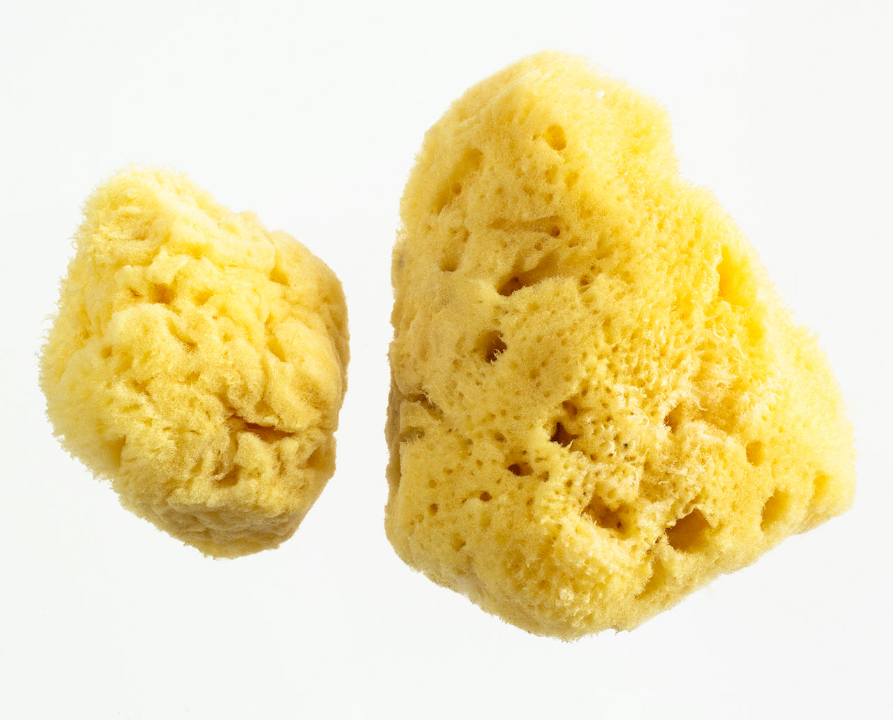 Menstrual Silk Sponges Medium & Large