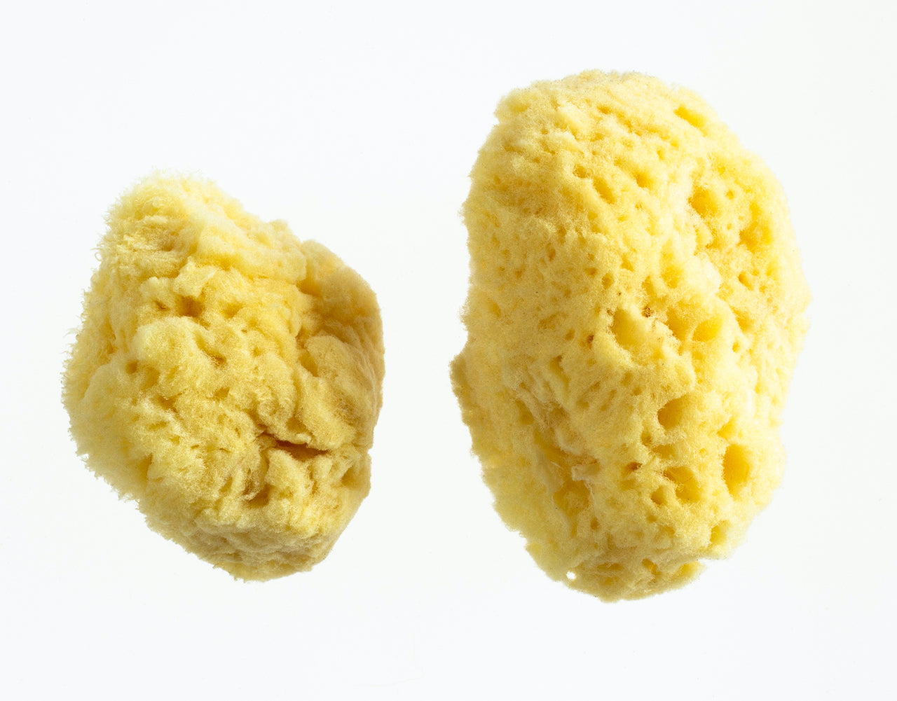 Menstrual Silk Sponges