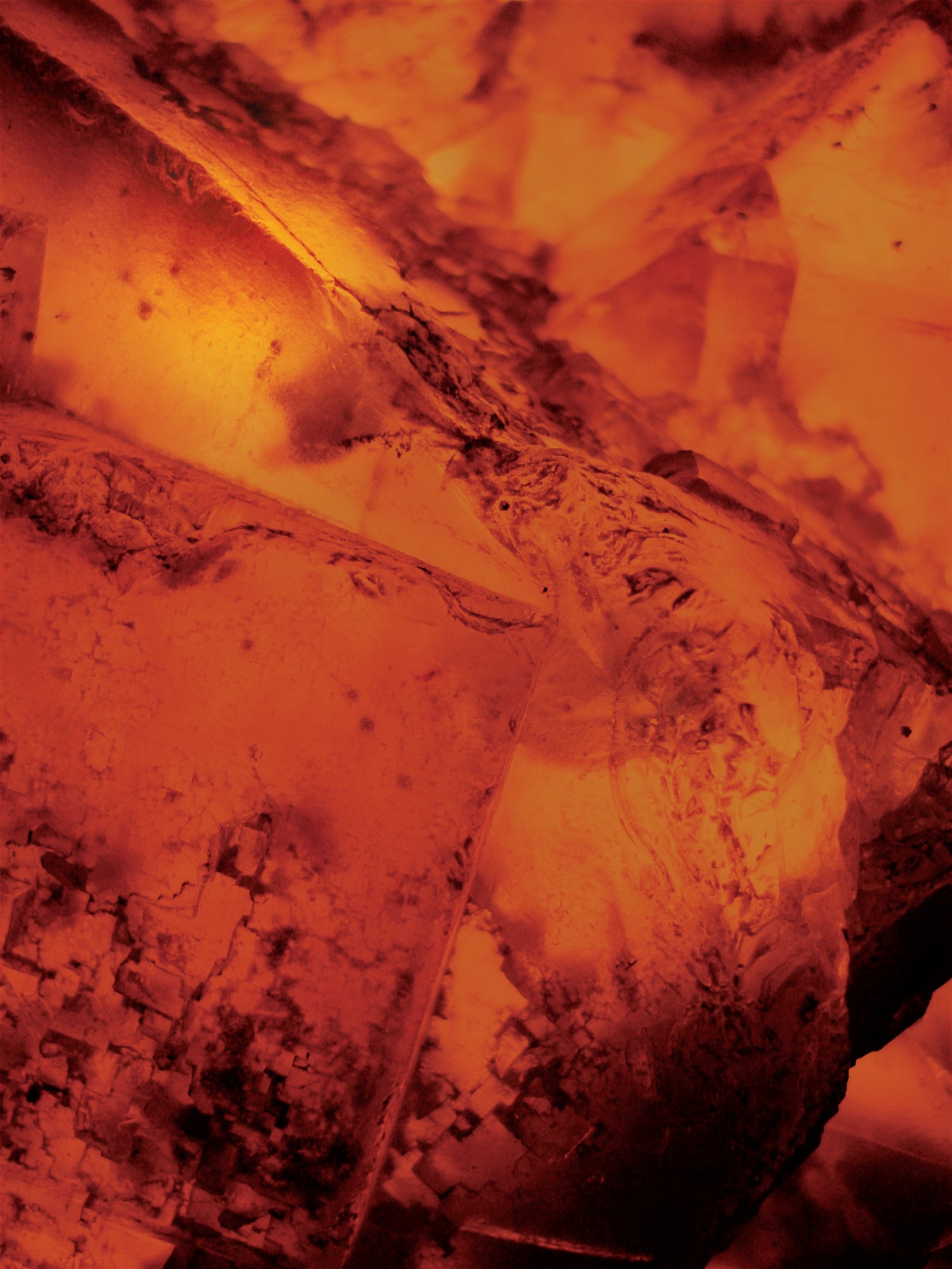 Baltic Amber