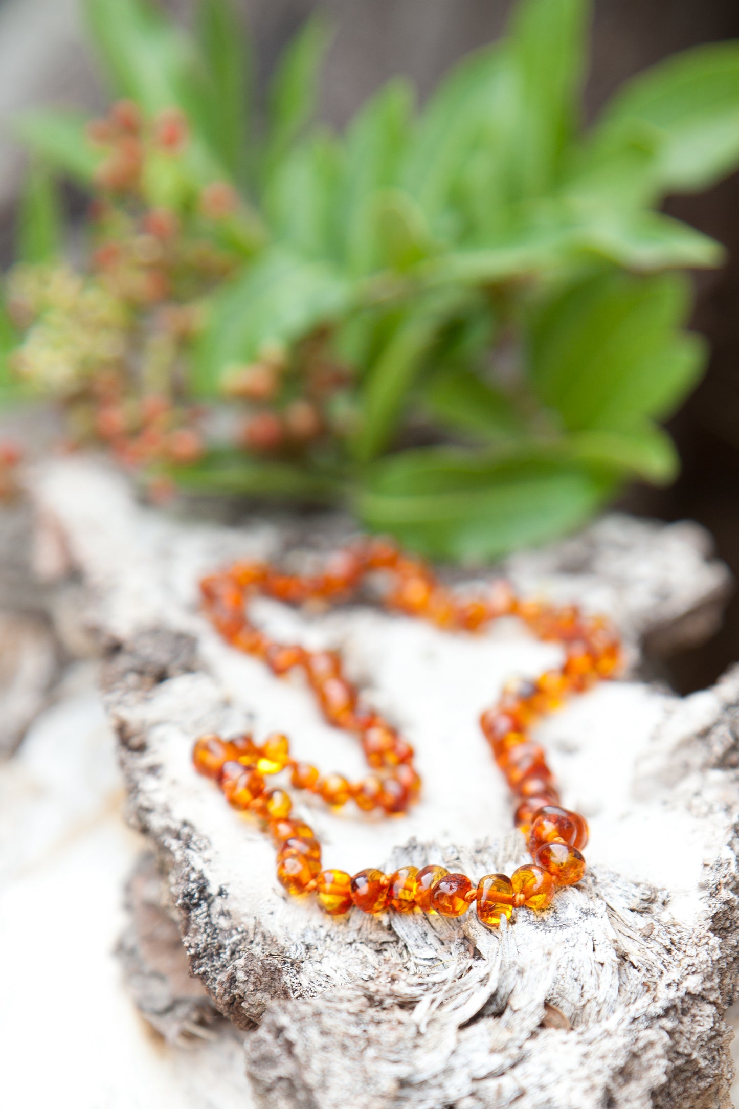 Adult Amber necklace Cognac
