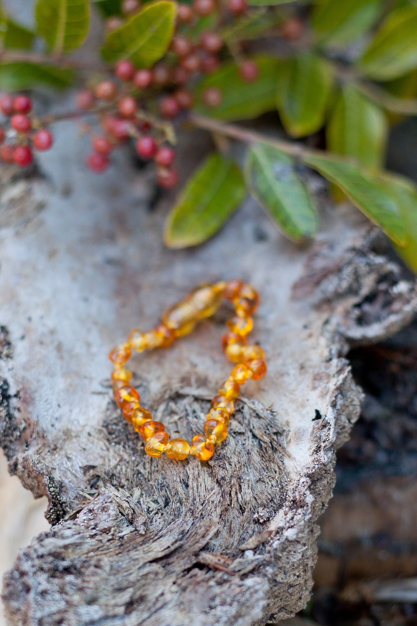 Adult Bracelet Lemon