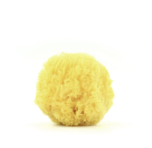Baby Bath Sponge