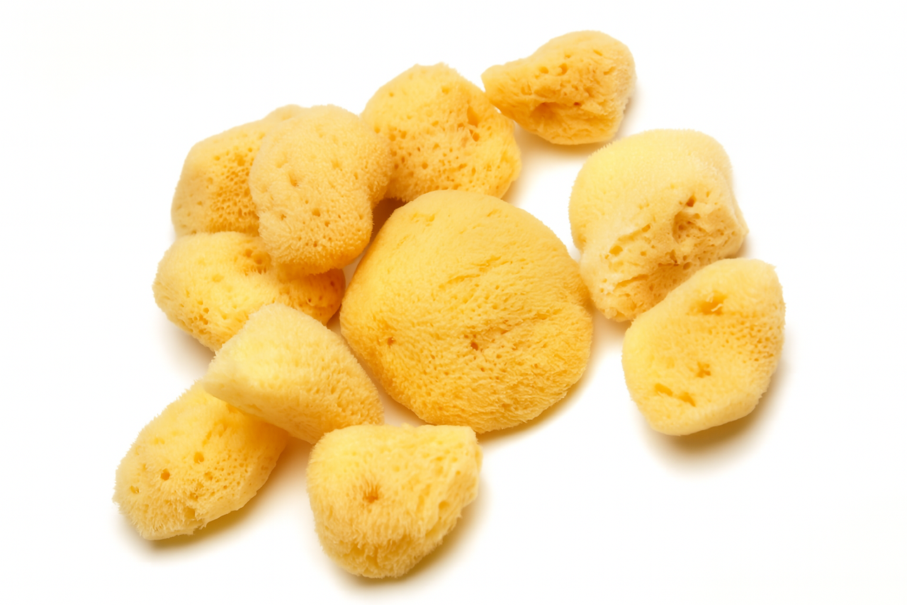 Natural Sea Sponge Tampons – Pack of 10