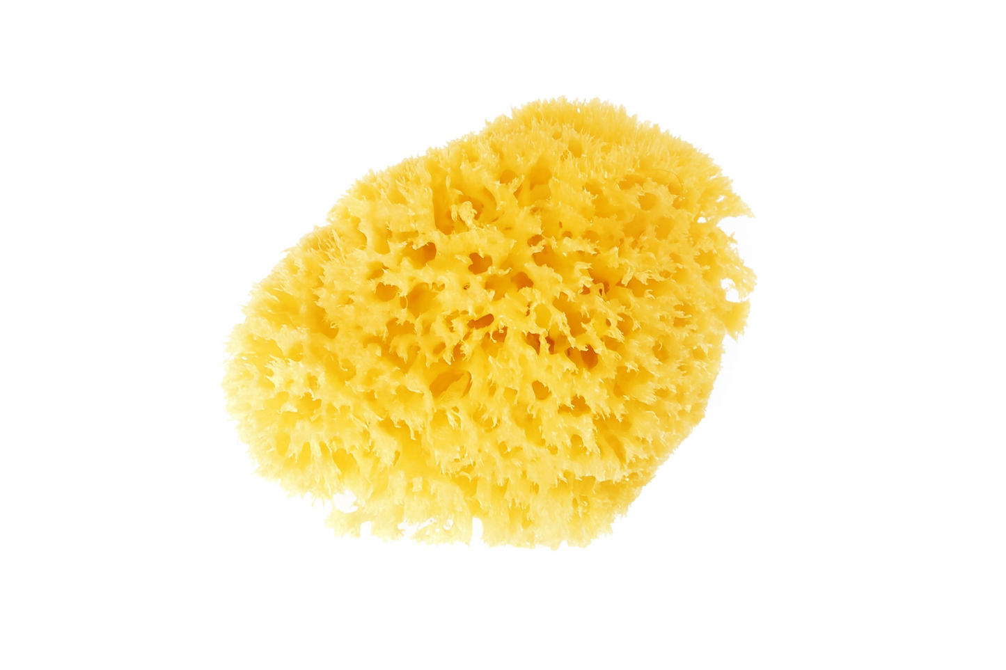 Honey Comb Bath Sponges