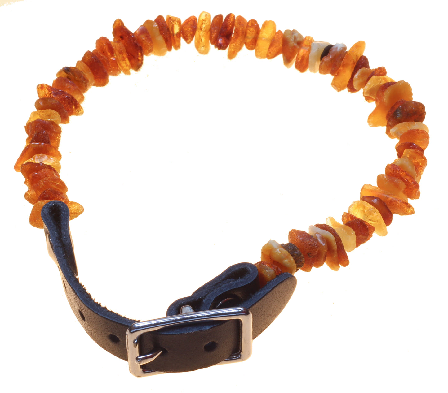 Pet Collars