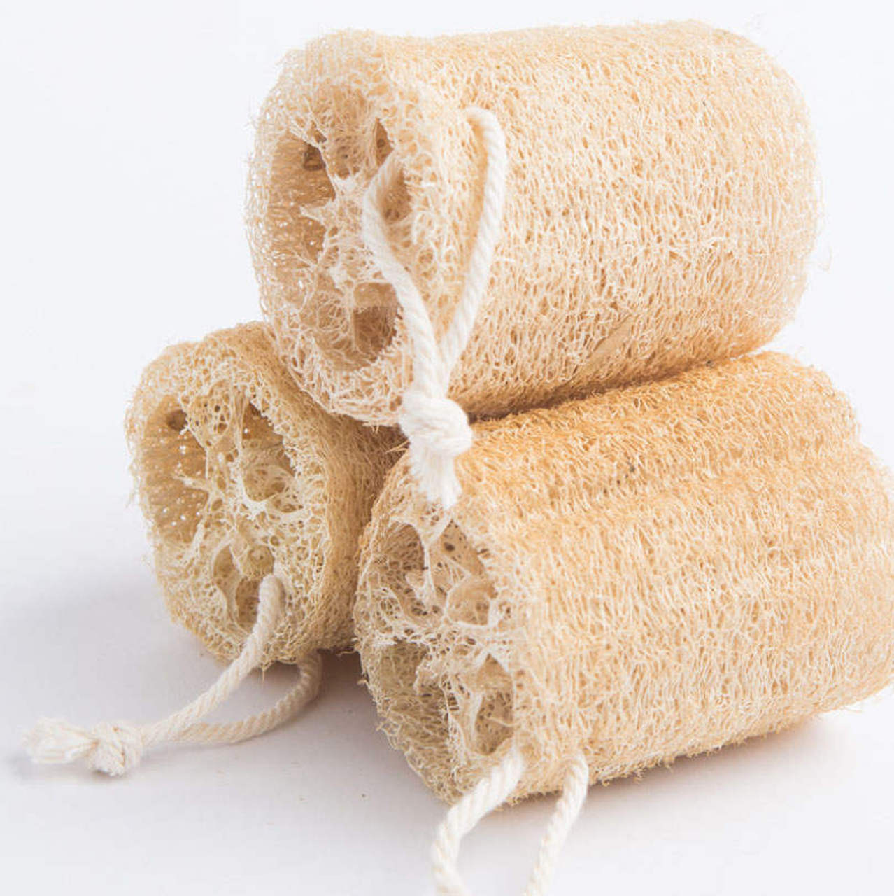 Loofah