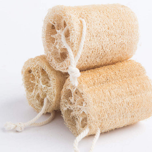 Loofah