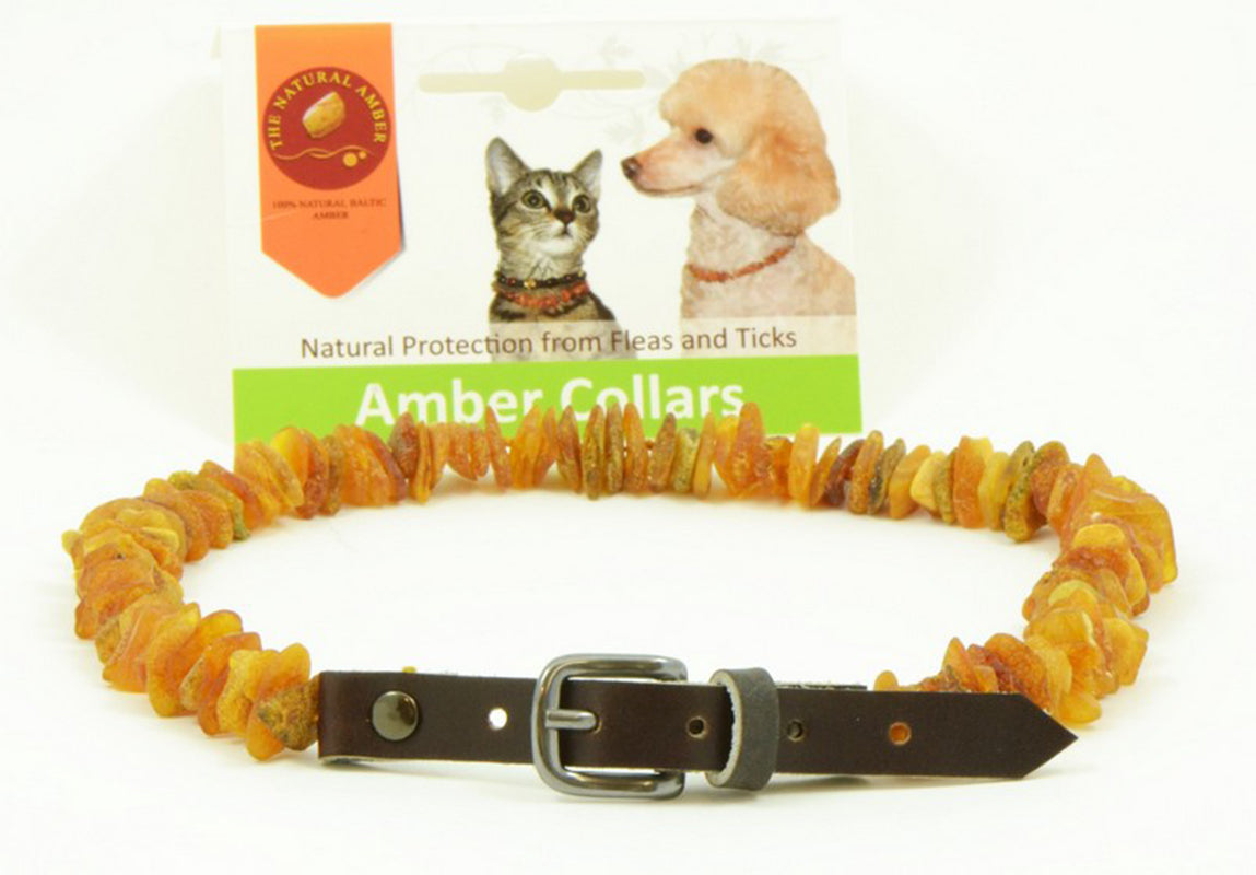 Pet Collars