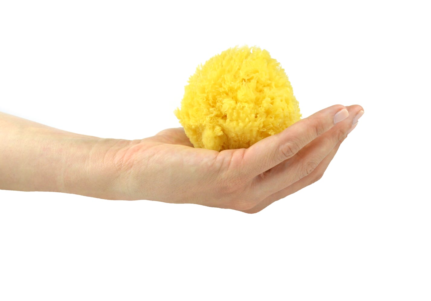 Natural Make-up removal Sponge