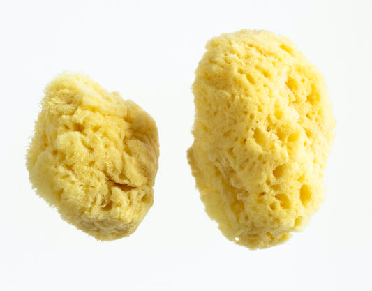 Menstrual Silk Sponges